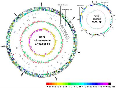 Frontiers | Comparative Genome Analysis Provides Insights Into Both The ...